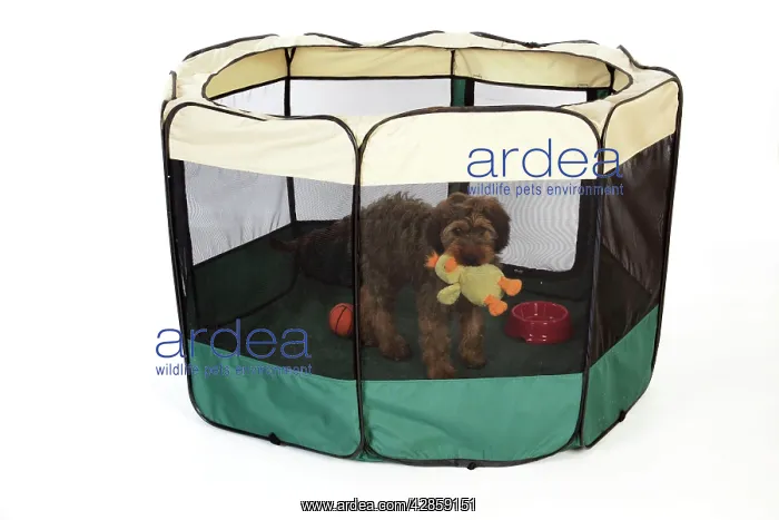  : DOG. puppy in play pen, ( Briard )