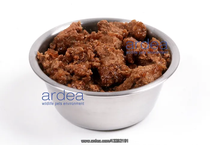 : DOG - wet food in bowl : DOG - wet food in bowl