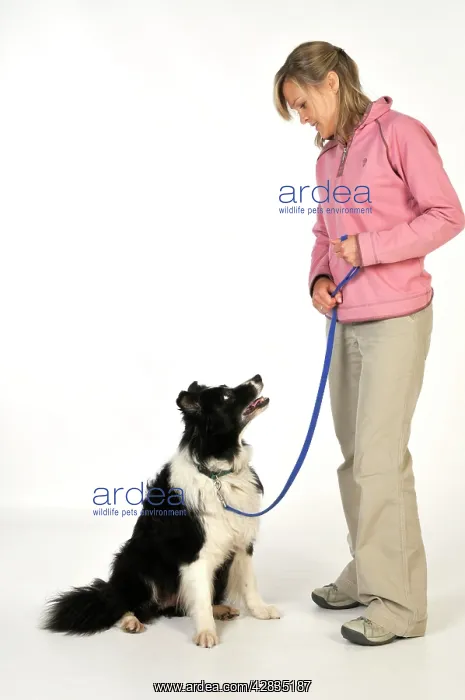  : Dog. Women with older dog on lead