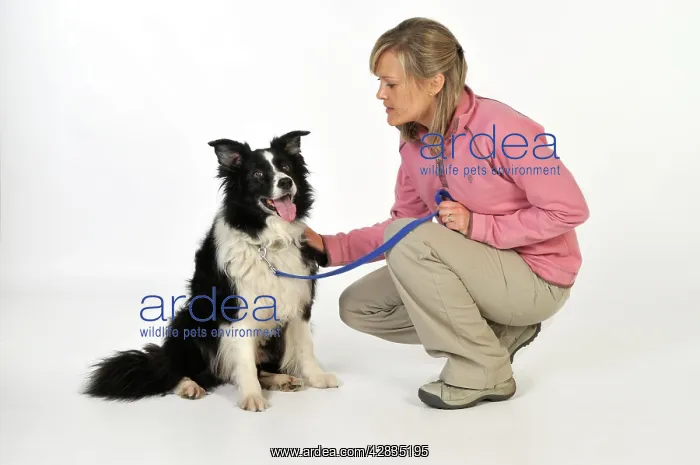  : Dog. Women with older dog on lead