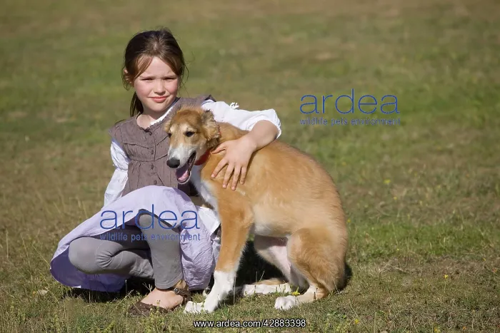 : Dog - young girl cuddling Borzoi