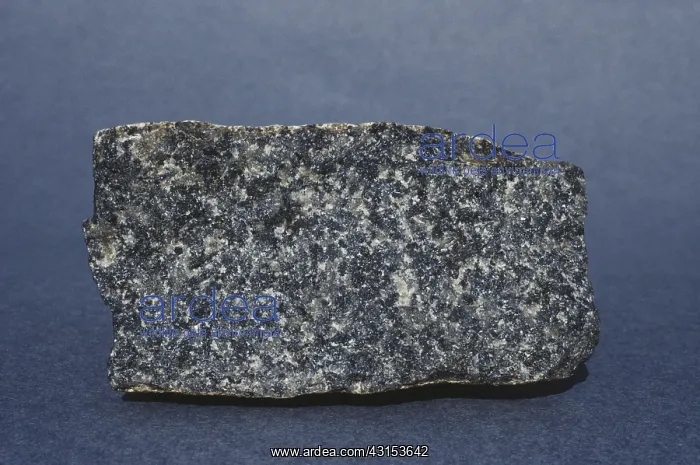 : Dolerite from Lachlan, Tasmania, Australia : Dolerite from Lachlan, Tasmania, Australia