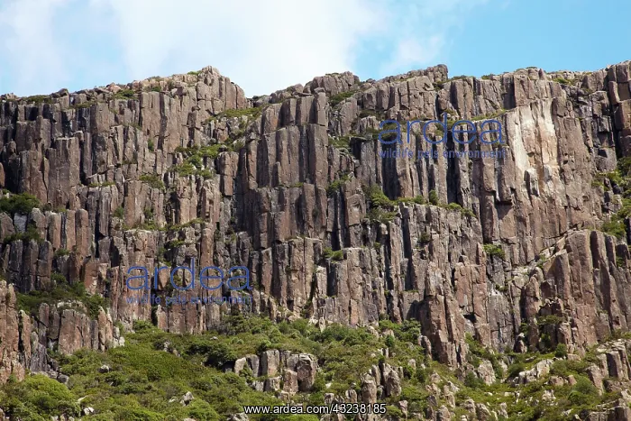 : Dolerite Columns, Ben Lomond National Park : Dolerite Columns, Ben Lomond National Park