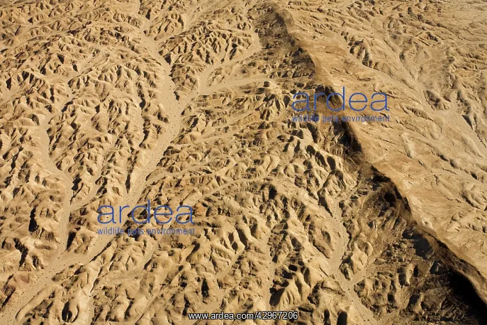 : Dolerite dyke controls natural erosion patterns : Dolerite dyke controls natural erosion patterns
