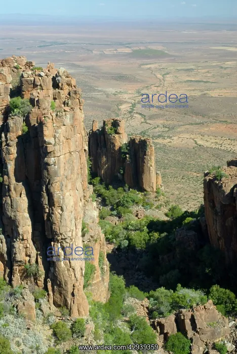 : Dolerite pillars, part of a dolerite sill, up to : Dolerite pillars, part of a dolerite sill, up to