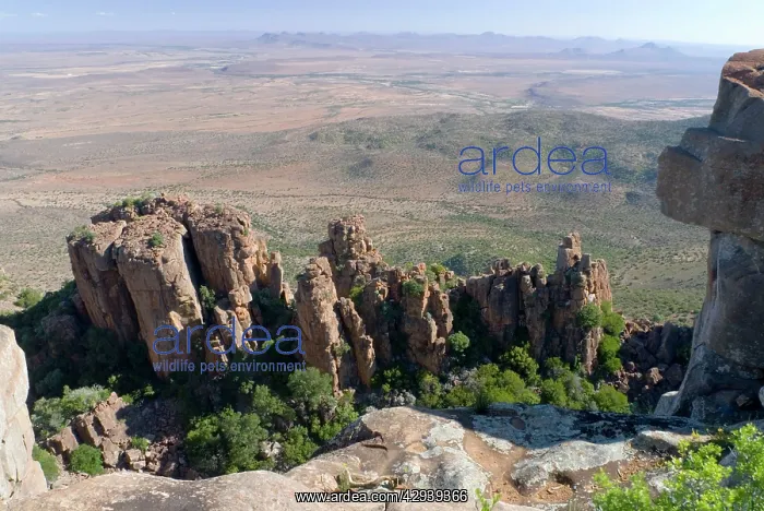 : Dolerite pillars, part of a dolerite sill, up to : Dolerite pillars, part of a dolerite sill, up to