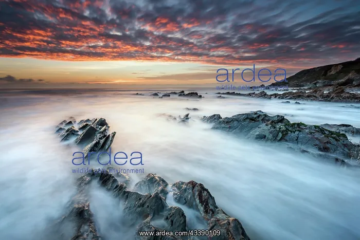 : Dollar Cove - Cornwall - UK : Dollar Cove - Cornwall - UK