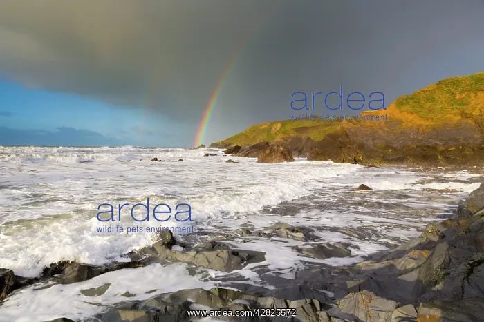  : Dollar Cove - Rainbow - Gunwalloe
