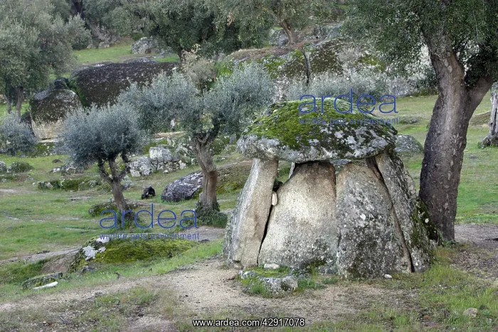 : Dolmen Burial Chamber - from Megalithic era, beside : Dolmen Burial Chamber - from Megalithic era, beside