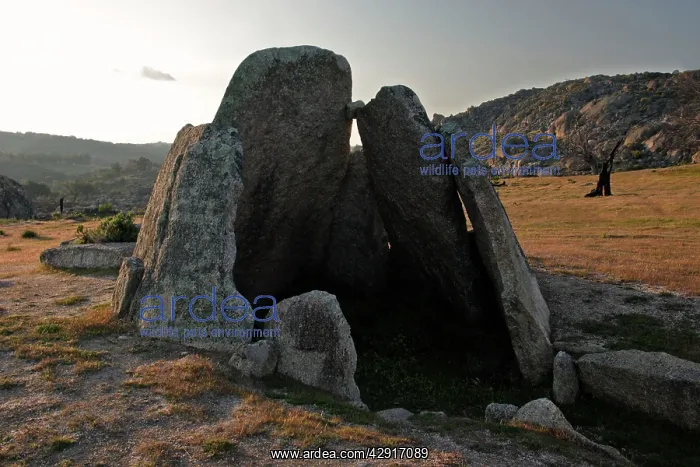  : Dolmen Burial Chamber - from Megalithic era, beside