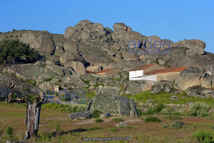 : Dolmen Burial chamber - from Megalithic era, standing : Dolmen Burial chamber - from Megalithic era, standing