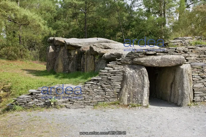 : Dolmen prehistoric tomb or funeral chamber : Dolmen prehistoric tomb or funeral chamber