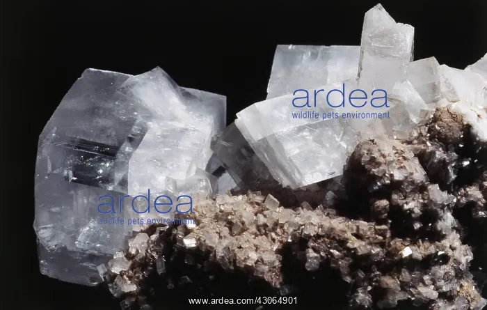 : Dolomite crystals from Pamplona, Navarro, Spain : Dolomite crystals from Pamplona, Navarro, Spain