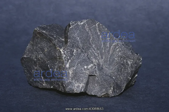 : Dolomite, or dolomitic limestone, from Smithton, Tasmania, Australia : Dolomite, or dolomitic limestone, from Smithton, Tasmania, Australia