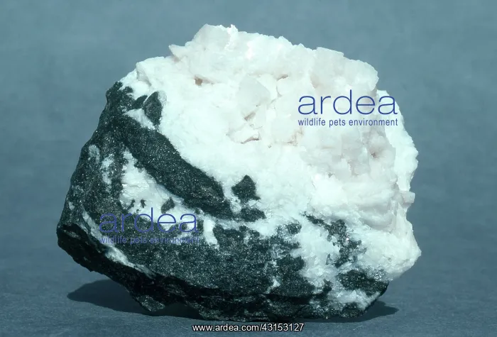 : Dolomite crystals on dolomite rock, from New York : Dolomite crystals on dolomite rock, from New York