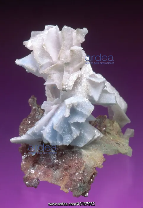 : Dolomite crystals from the Tsumeb Mine in Tsumeb, Namibia. Dimensions: 4 x 4 x 2 cm : Dolomite crystals from the Tsumeb Mine in Tsumeb, Namibia. Dimensions: 4 x 4 x 2 cm