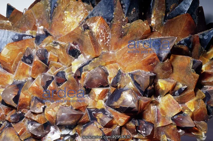 : Dolomite / Dolostone - CaMg(Co)2 : Dolomite / Dolostone - CaMg(Co)2
