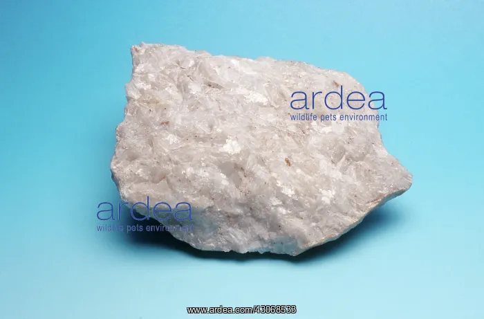 : Dolomitic Marble : Dolomitic Marble