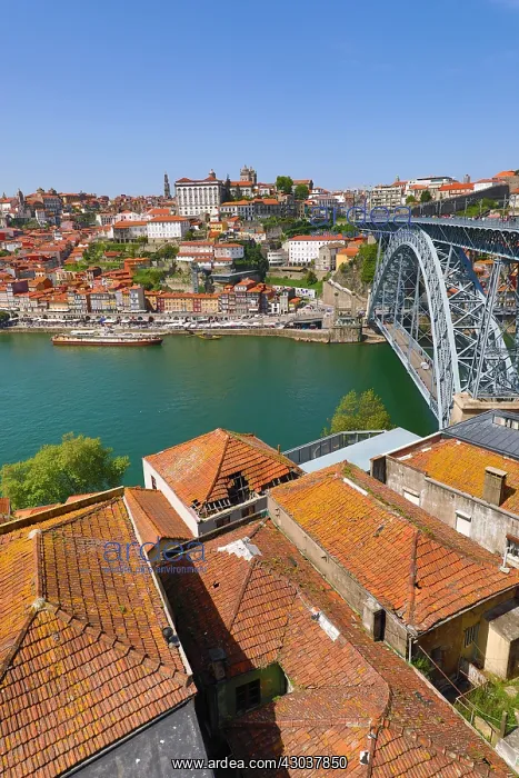 : The Dom Luis I metal arch bridge over the Douro : The Dom Luis I metal arch bridge over the Douro