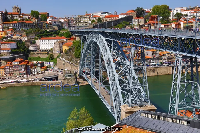 : The Dom Luis I metal arch bridge over the Douro : The Dom Luis I metal arch bridge over the Douro