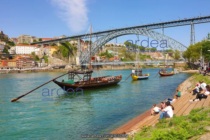 : The Dom Luis I metal arch bridge over the Douro : The Dom Luis I metal arch bridge over the Douro