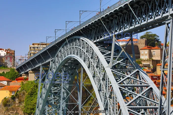 : The Dom Luis I metal arch bridge over the Douro : The Dom Luis I metal arch bridge over the Douro