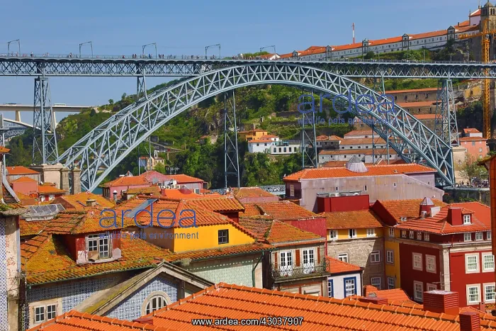 : The Dom Luis I metal arch bridge and orange tiled