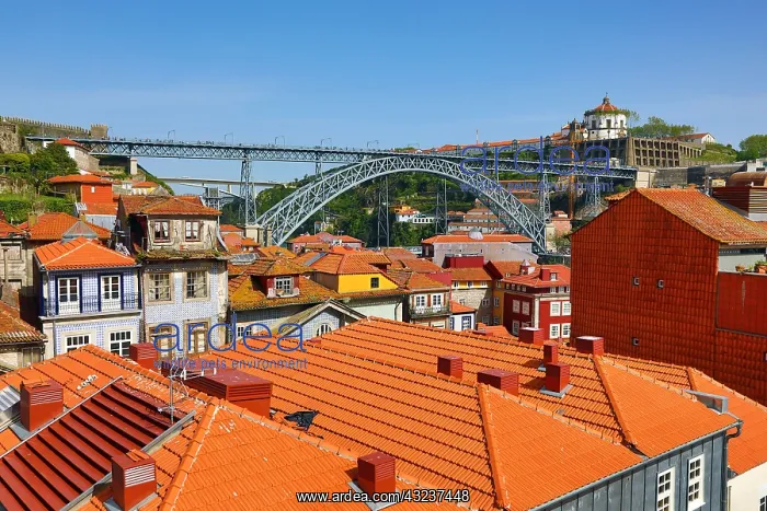 : The Dom Luis I metal arch bridge and orange tiled : The Dom Luis I metal arch bridge and orange tiled