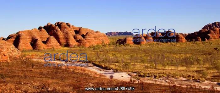 : Domes and Piccaninny creek - panoramic view of : Domes and Piccaninny creek - panoramic view of