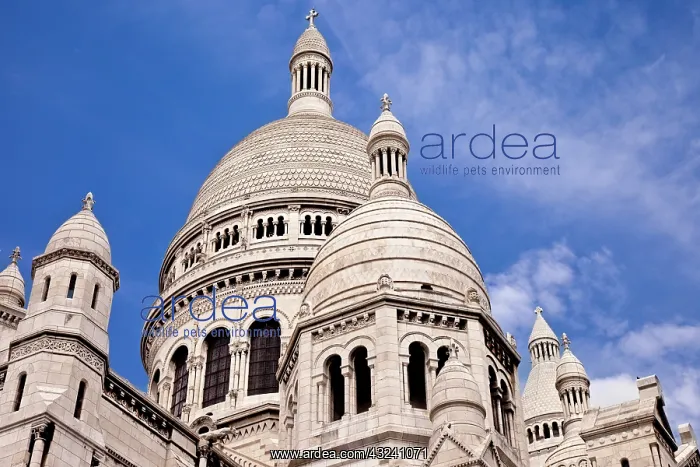 : Domes of Sacre Coeur in Montmartre Paris : Domes of Sacre Coeur in Montmartre Paris