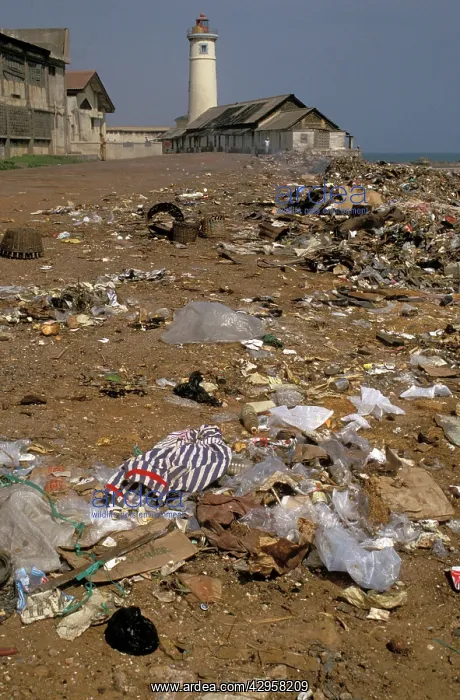 : Domestic waste and litter dumped on beach : Domestic waste and litter dumped on beach