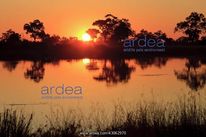 : Dominant orange color during typical sunset : Dominant orange color during typical sunset