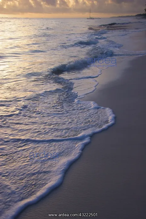 : Dominican Republic, Caribbean, Punta Cana : Dominican Republic, Caribbean, Punta Cana