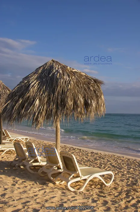  : Dominican Republic, Caribbean, Punta Cana