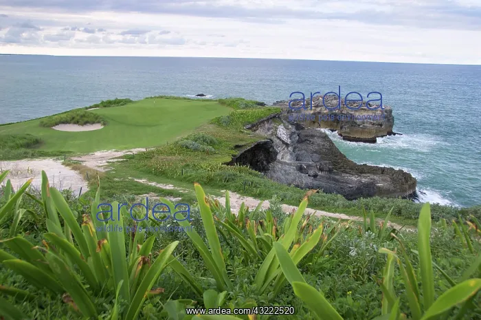 : Dominican Republic, Caribbean, Punta Cana : Dominican Republic, Caribbean, Punta Cana
