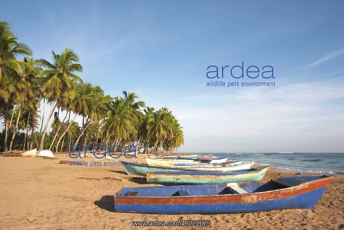 : Dominican Republic, North Coast, Nagua : Dominican Republic, North Coast, Nagua
