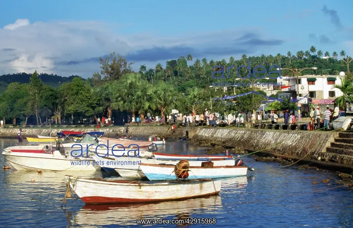  : Dominican Republic - Port de Samana (Hispaniola)
