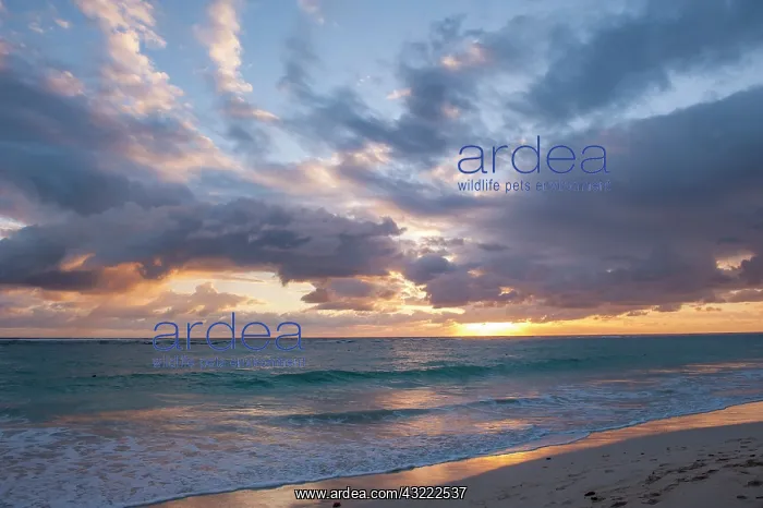  : Dominican Republic, Punta Cana, Higuey