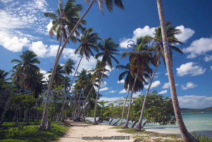 : Dominican Republic, Samana Peninsula, Las : Dominican Republic, Samana Peninsula, Las