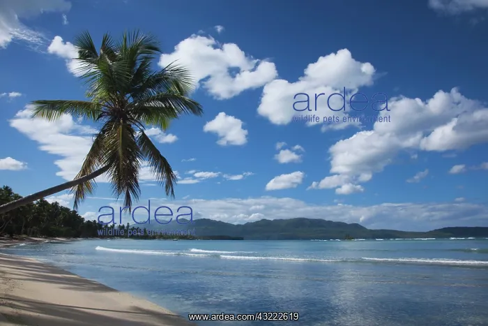 : Dominican Republic, Samana Peninsula, Las : Dominican Republic, Samana Peninsula, Las