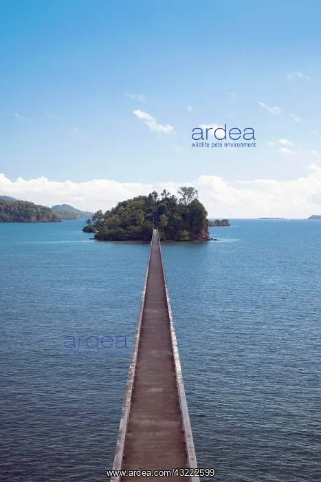 : Dominican Republic, Samana Peninsula, Samana : Dominican Republic, Samana Peninsula, Samana