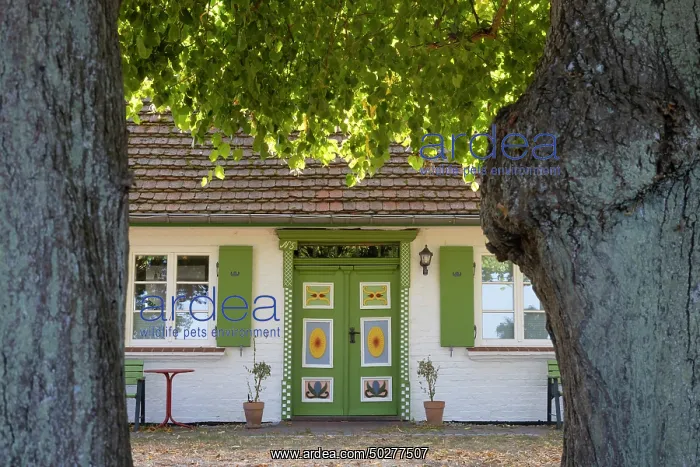 : Door Bliesenrade : Door Bliesenrade