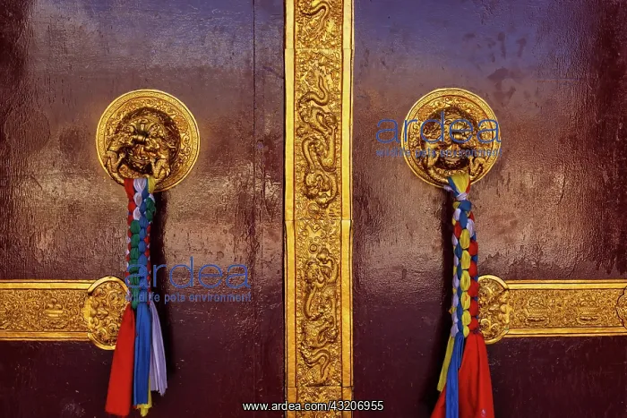 : Door handles in Buddhist monastery gompa. Mud vi : Door handles in Buddhist monastery gompa. Mud vi