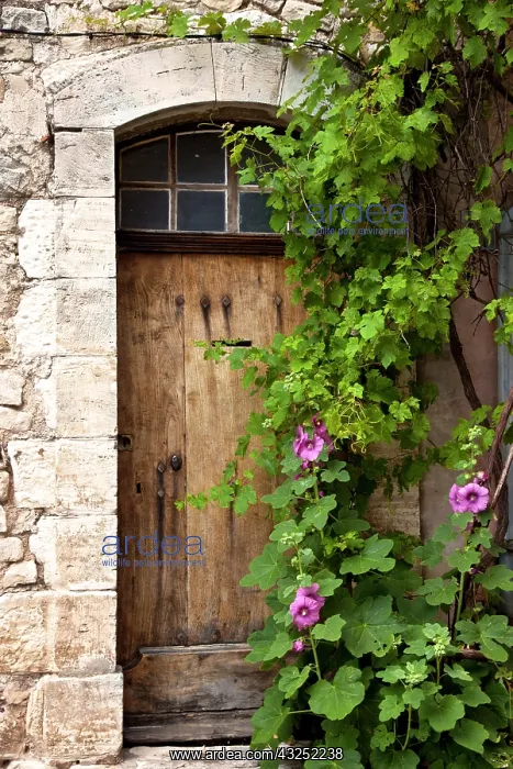 : Front door to home in Sault, Provence, France : Front door to home in Sault, Provence, France