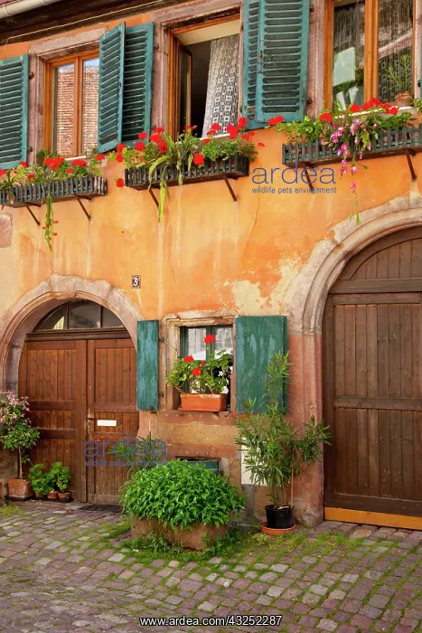: Front doors to home in Riquewihr, along : Front doors to home in Riquewihr, along