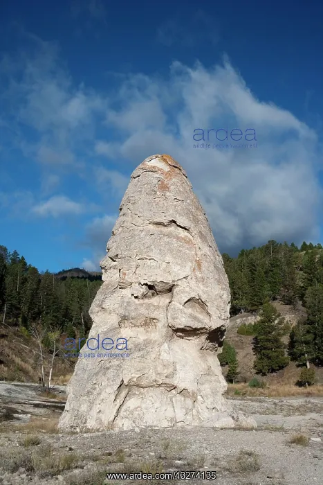 : Dormant Hotspring, ca. 2500 years old, formed by : Dormant Hotspring, ca. 2500 years old, formed by