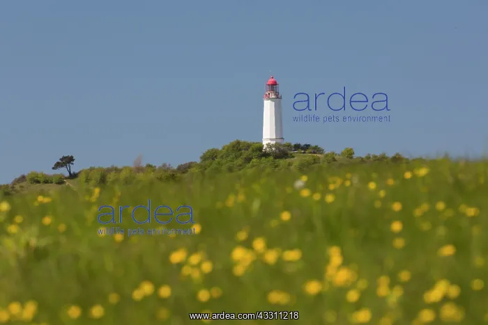 : Dornbusch Lighthouse - commissioned in 1888, it : Dornbusch Lighthouse - commissioned in 1888, it