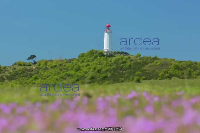 : Dornbusch Lighthouse - commissioned in 1888, it : Dornbusch Lighthouse - commissioned in 1888, it