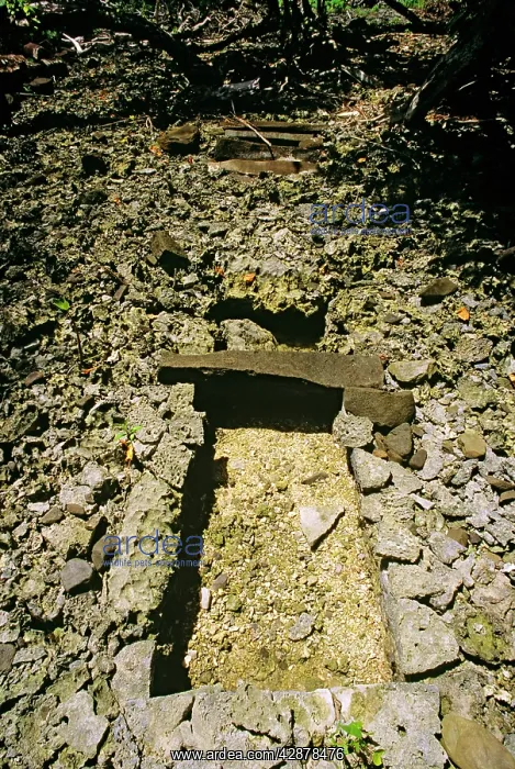 : Dorong, tunnel channel Nan Madol fortress complex : Dorong, tunnel channel Nan Madol fortress complex