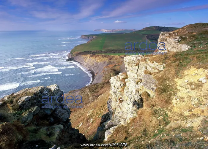 : Dorset Coast from Houns-tout (Egmont point) - Purbeck : Dorset Coast from Houns-tout (Egmont point) - Purbeck